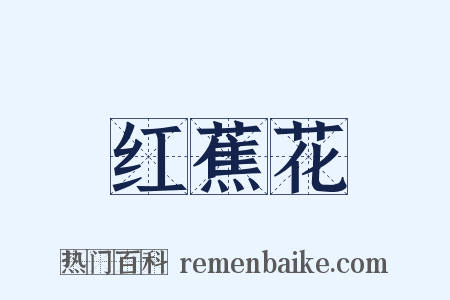 红蕉花是什么意思的图片